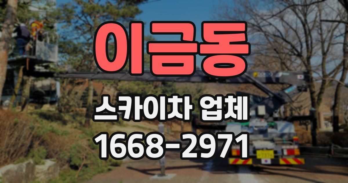 이금동 스카이차 업체