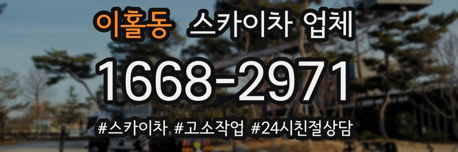 이홀동 스카이차 업체