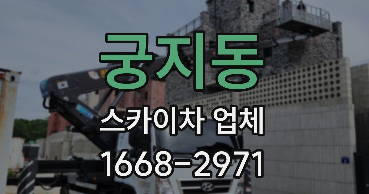 궁지동 스카이차 업체