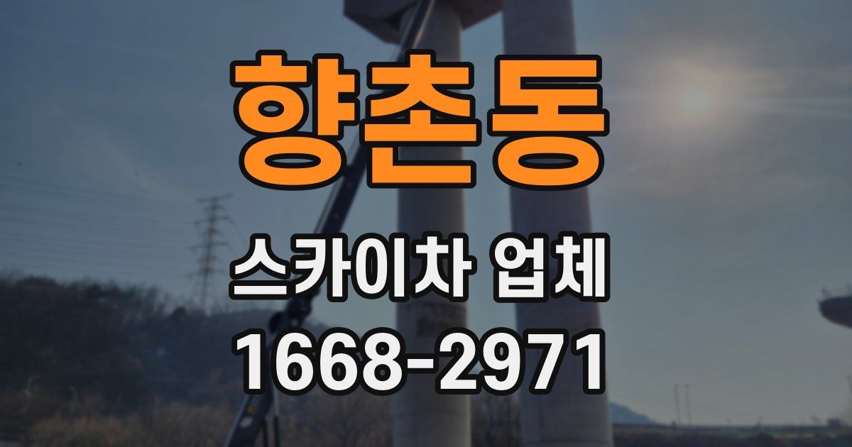 향촌동 스카이차 업체