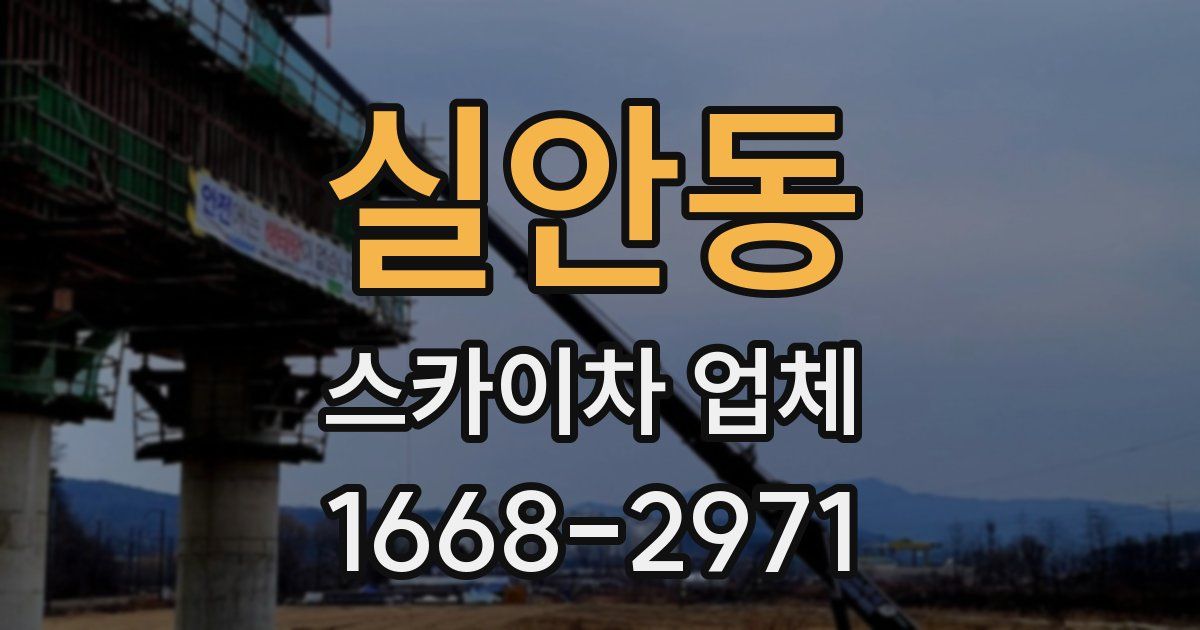 실안동 스카이차 업체