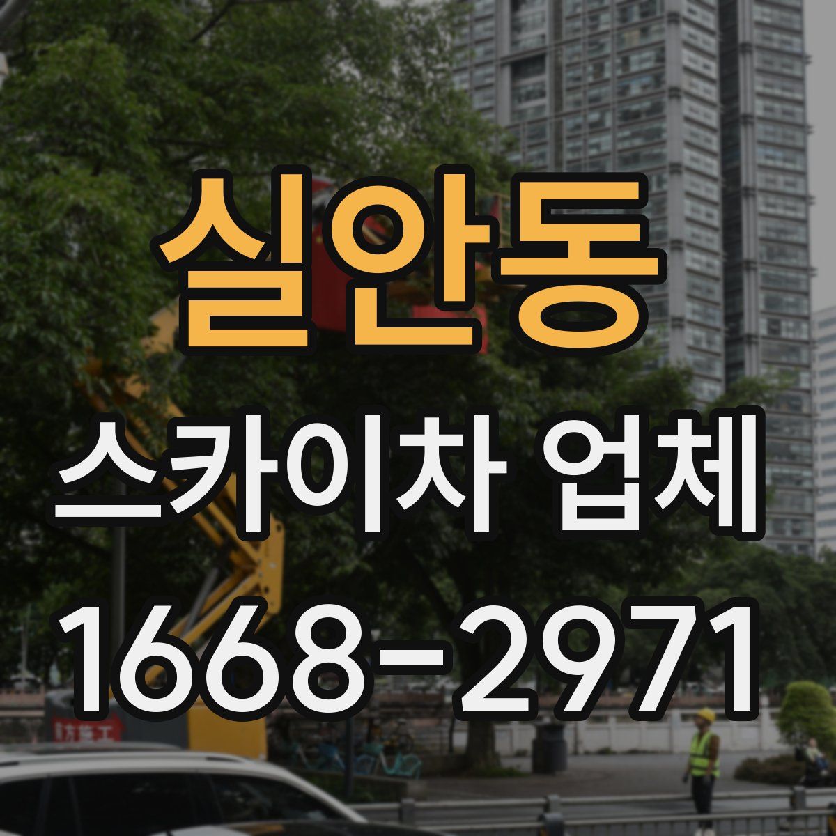 실안동 스카이차 업체
