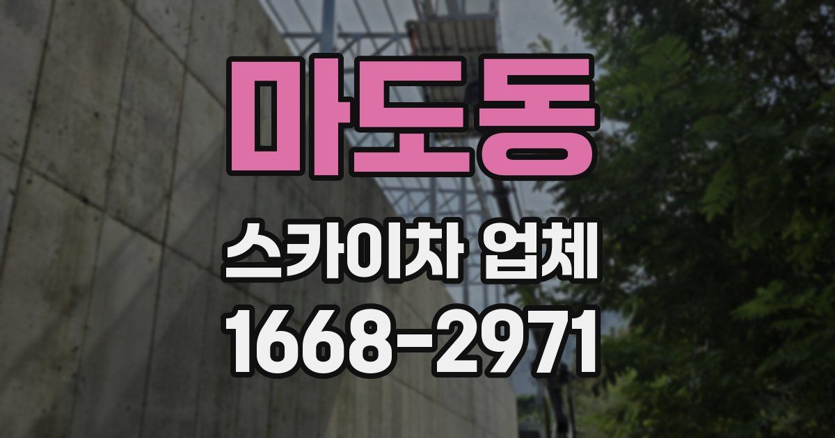 마도동 스카이차 업체