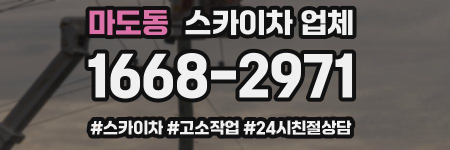 마도동 스카이차 업체