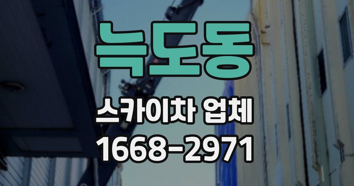 늑도동 스카이차 업체