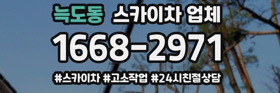 늑도동 스카이차 업체