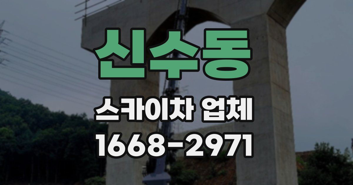신수동 스카이차 업체