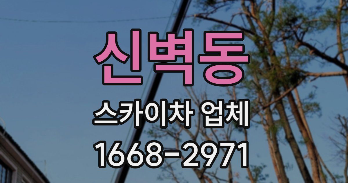 신벽동 스카이차 업체