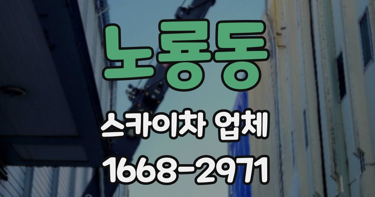 노룡동 스카이차 업체