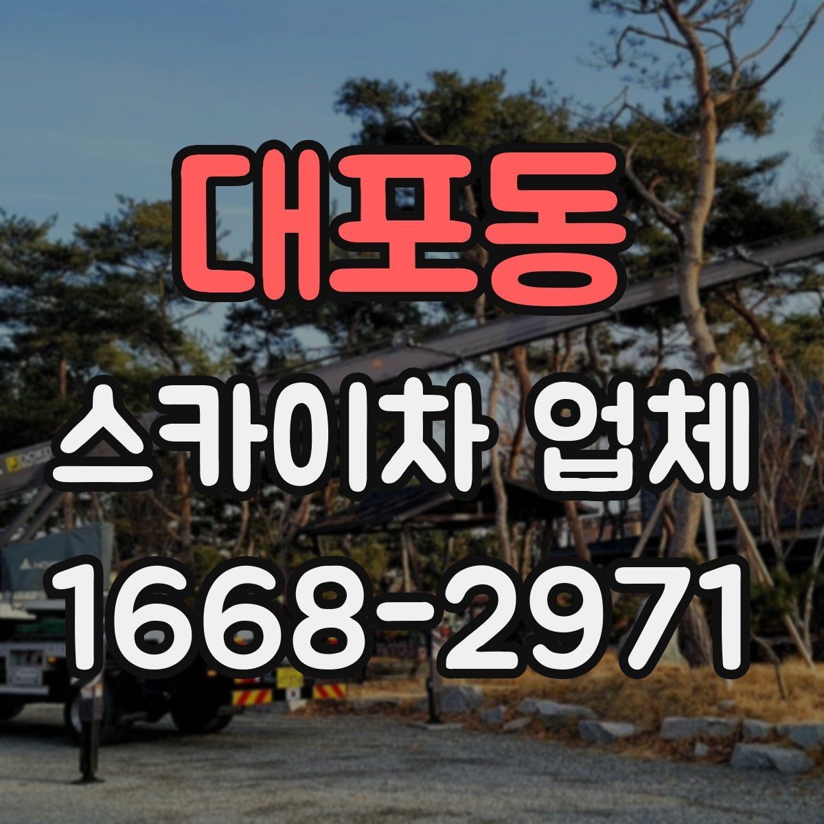 대포동 스카이차 업체 운행 가능 지역 확인하는 법