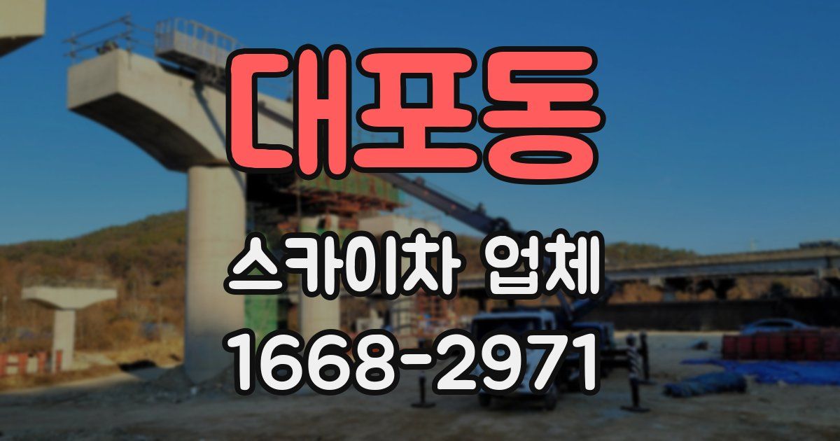 대포동 스카이차 업체
