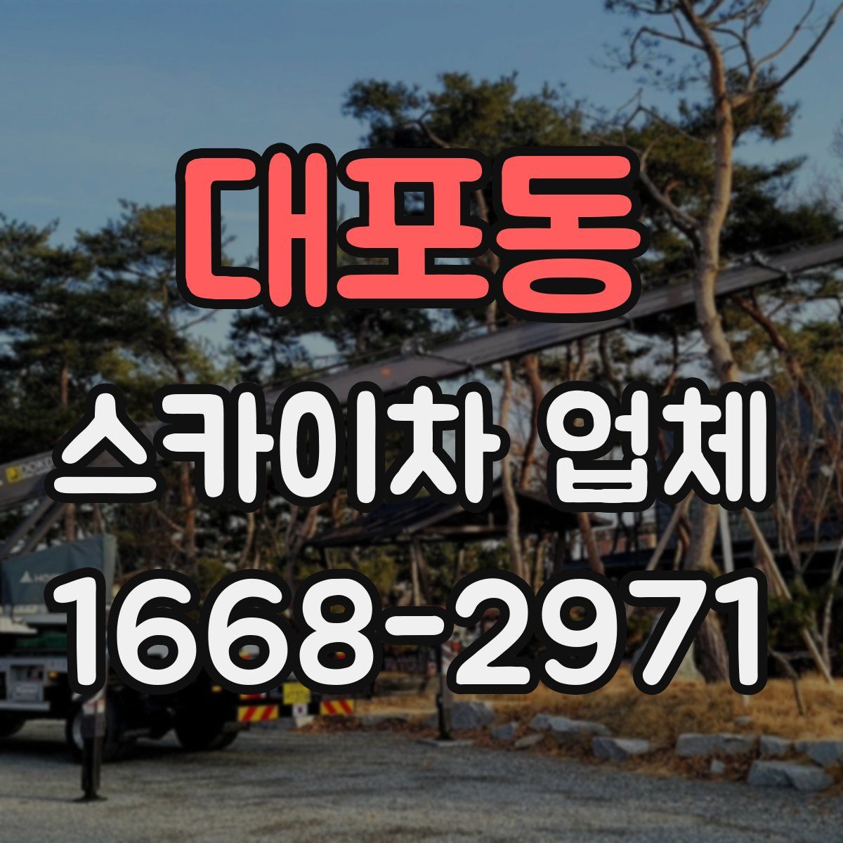 대포동 스카이차 업체