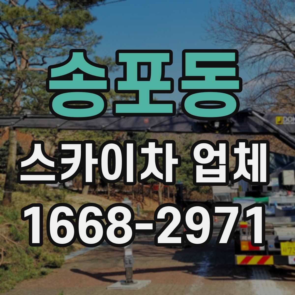 송포동 스카이차 업체