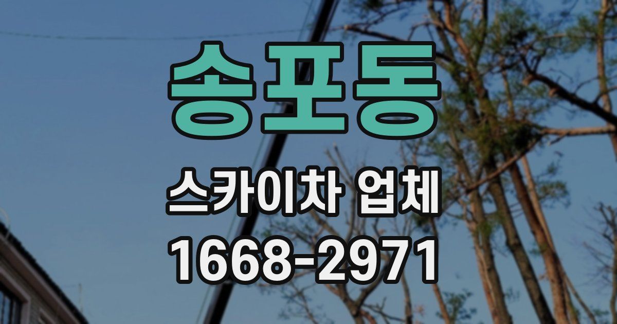 송포동 스카이차 업체