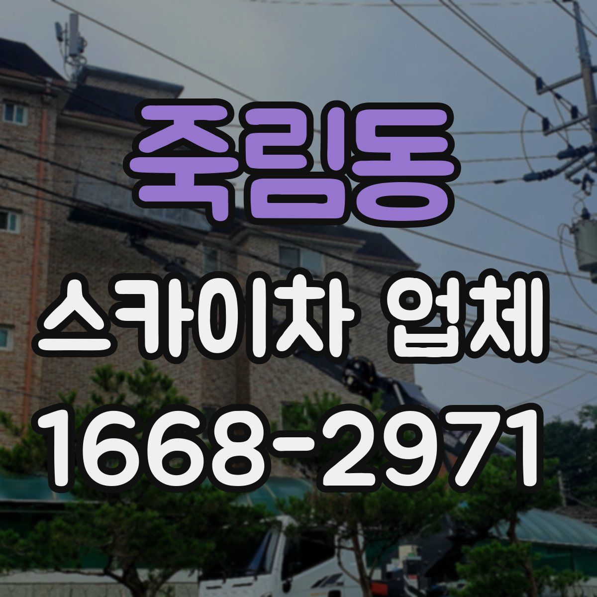 죽림동 스카이차 업체