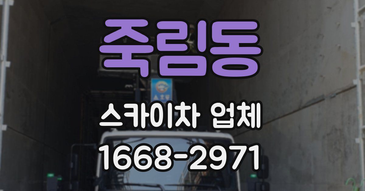 죽림동 스카이차 업체