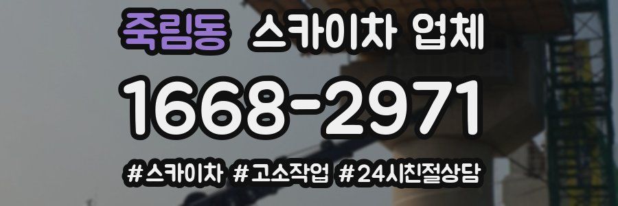 죽림동 스카이차 업체