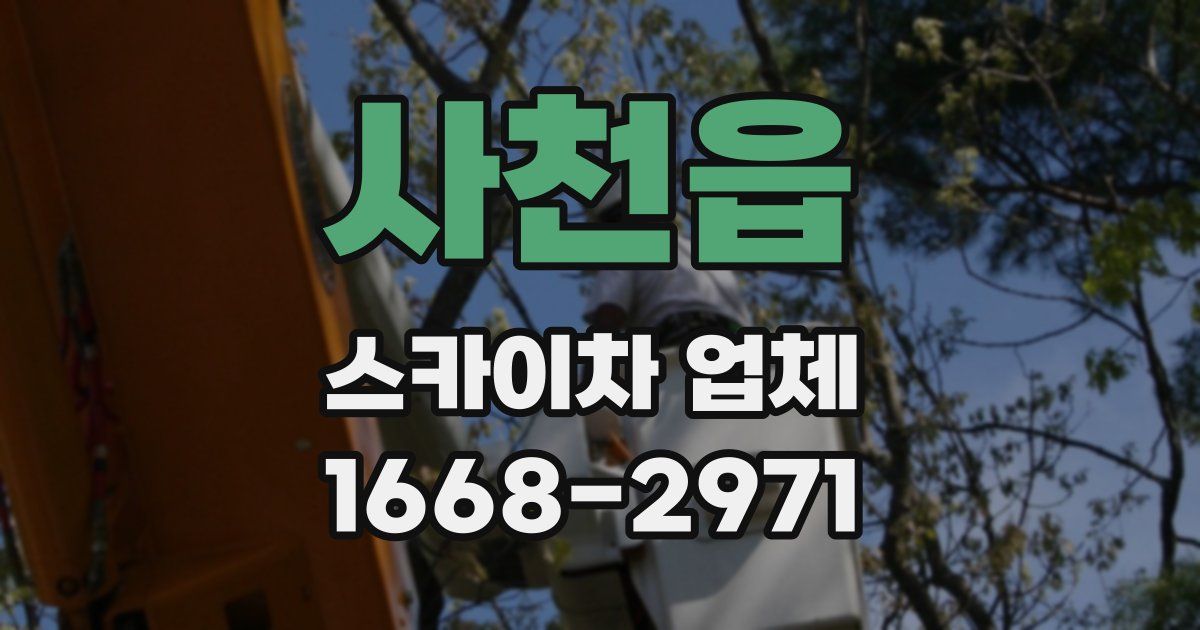 사천읍 스카이차 업체