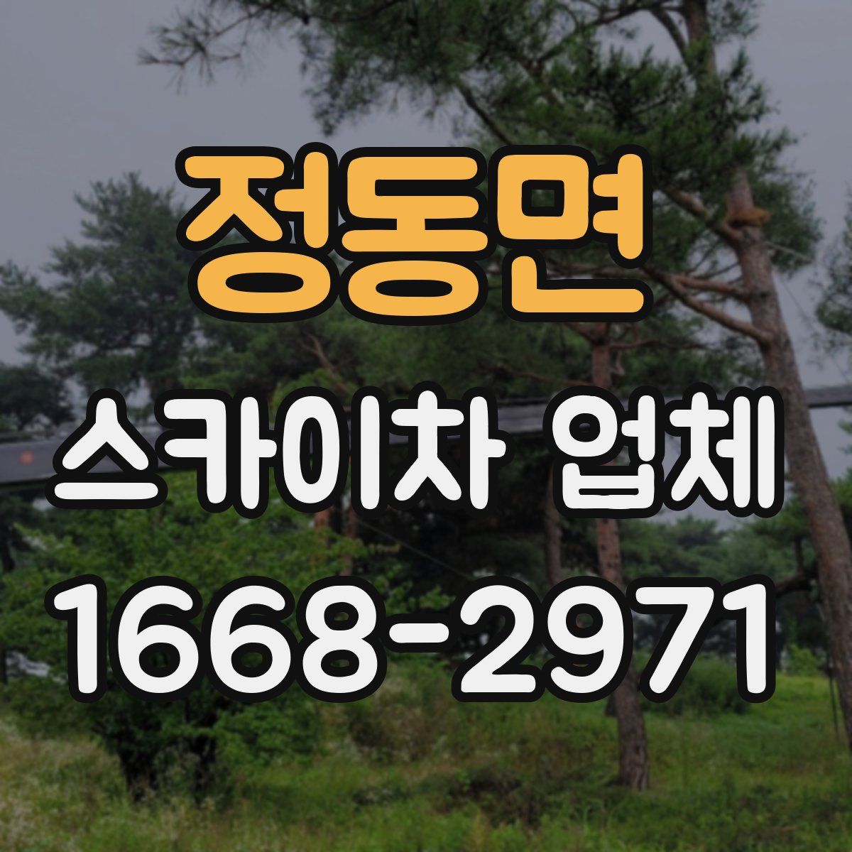 정동면 스카이차 업체