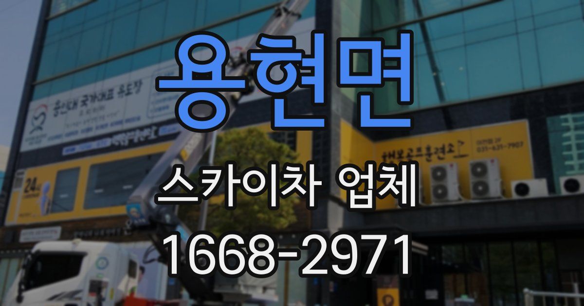 용현면 스카이차 업체