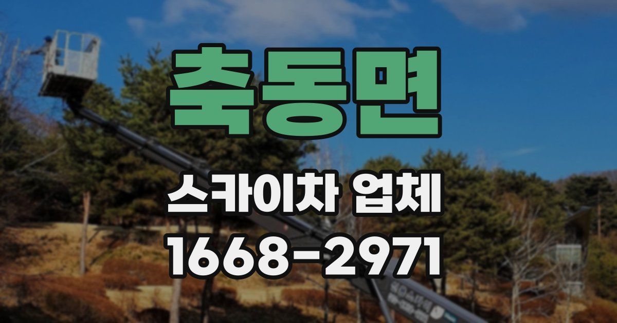 축동면 스카이차 업체