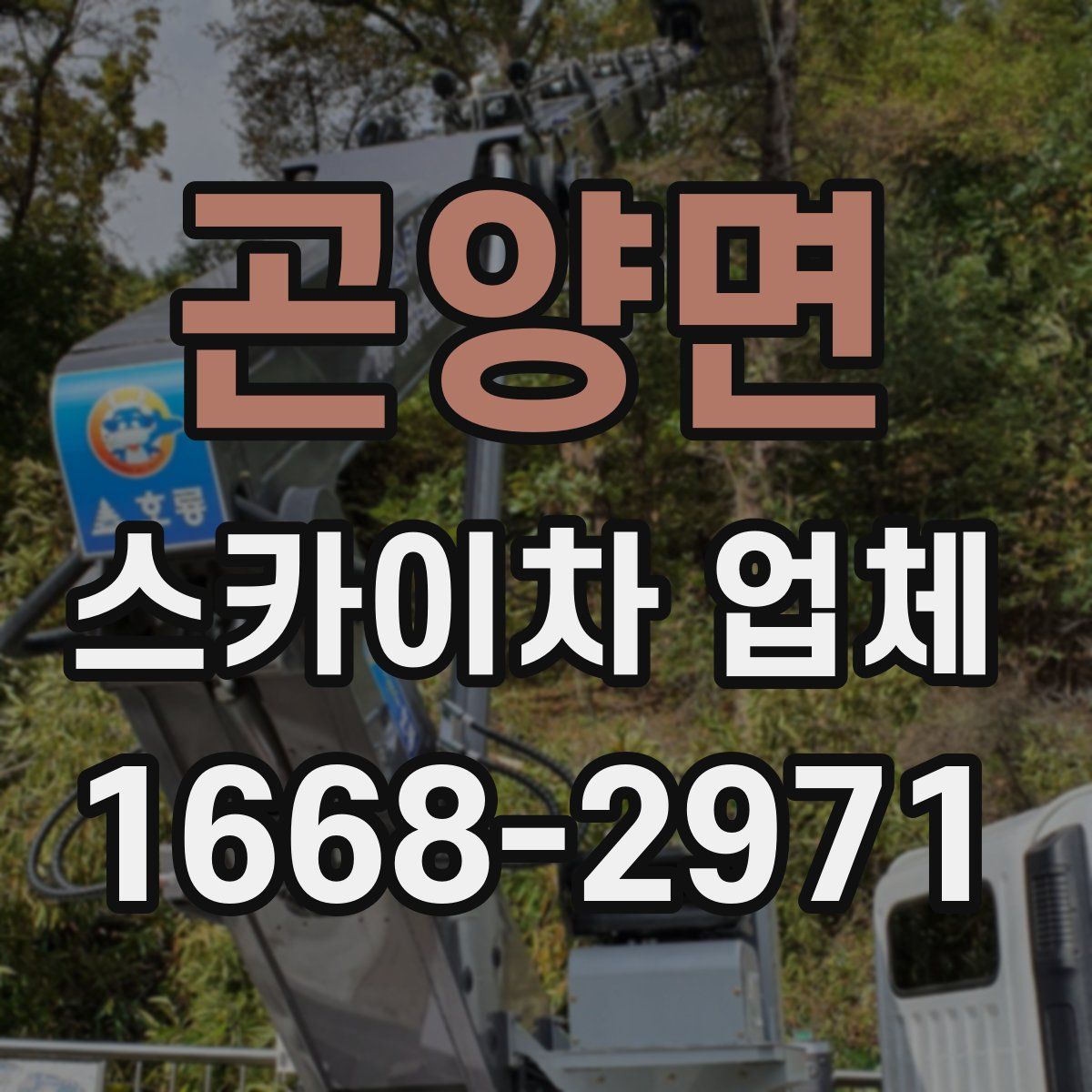 곤양면 스카이차 업체