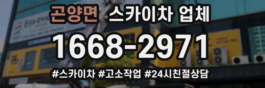 곤양면 스카이차 업체