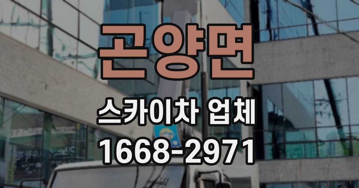 곤양면 스카이차 업체