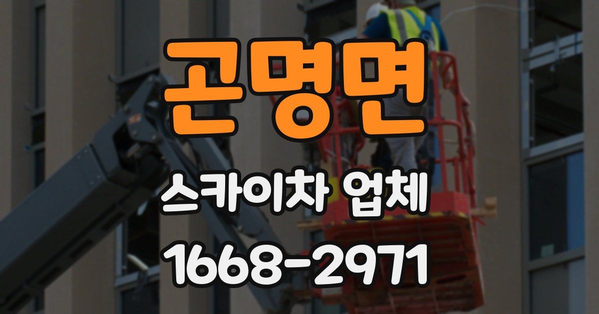 곤명면 스카이차 업체
