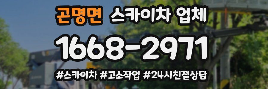 곤명면 스카이차 업체