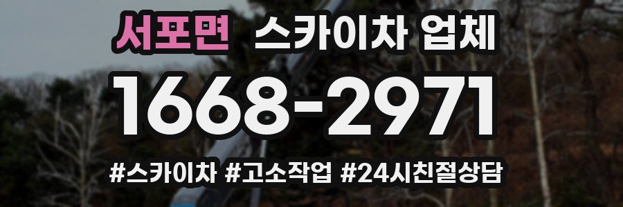 서포면 스카이차 업체
