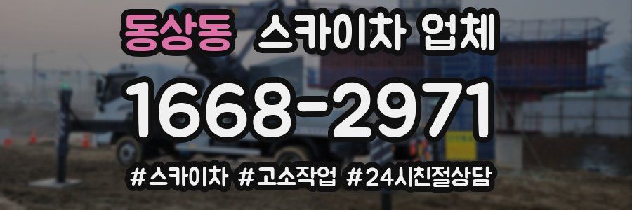 동상동 스카이차 업체