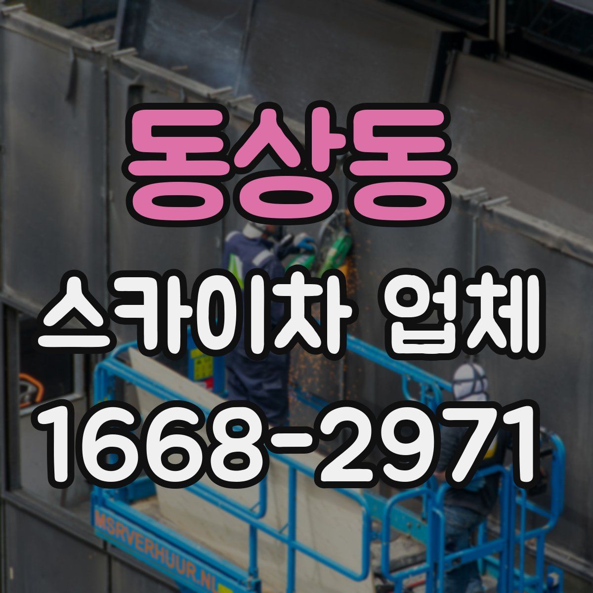 동상동 스카이차 업체