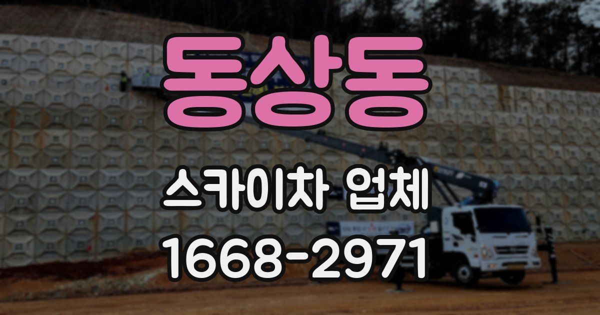동상동 스카이차 업체
