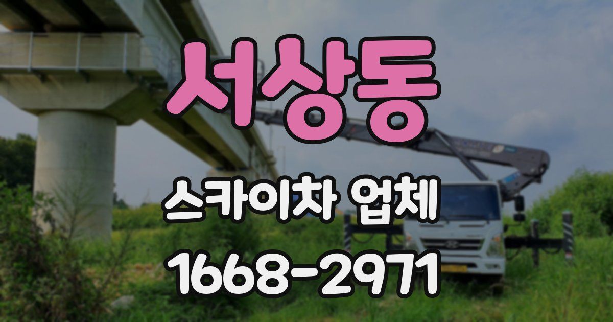 서상동 스카이차 업체