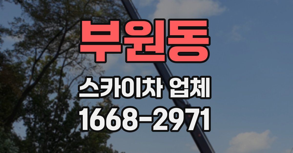 부원동 스카이차 업체