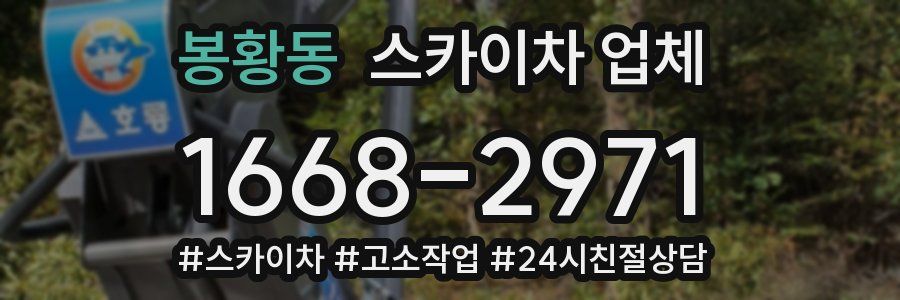봉황동 스카이차 업체