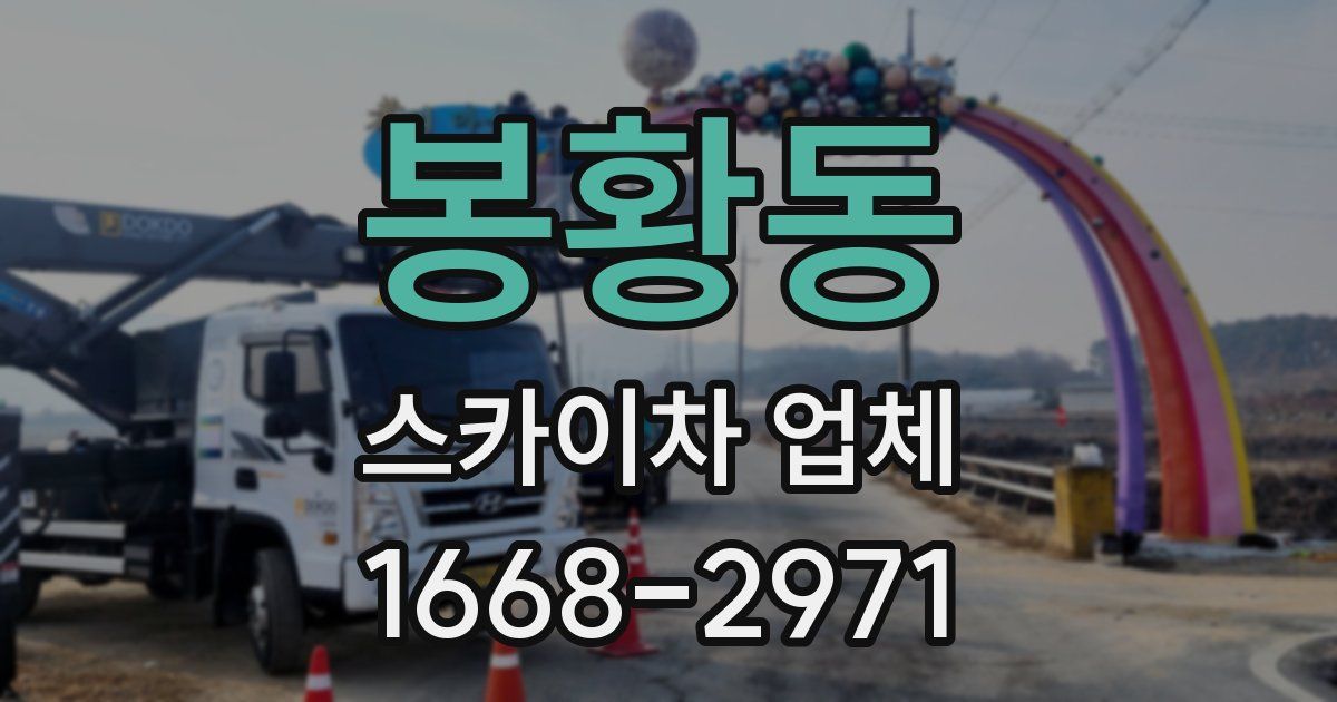 봉황동 스카이차 업체