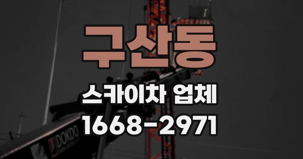 구산동 스카이차 업체