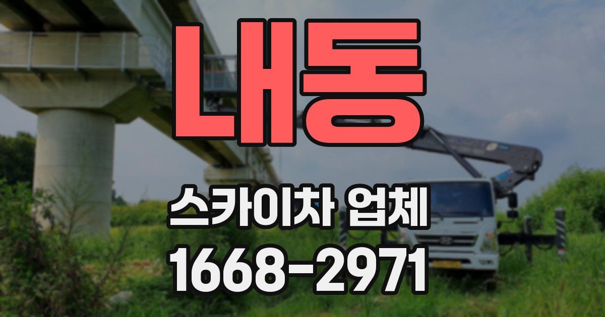 내동 스카이차 업체