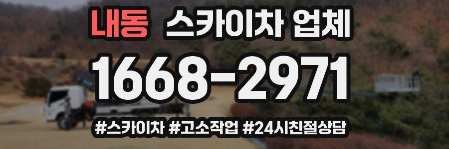 내동 스카이차 업체