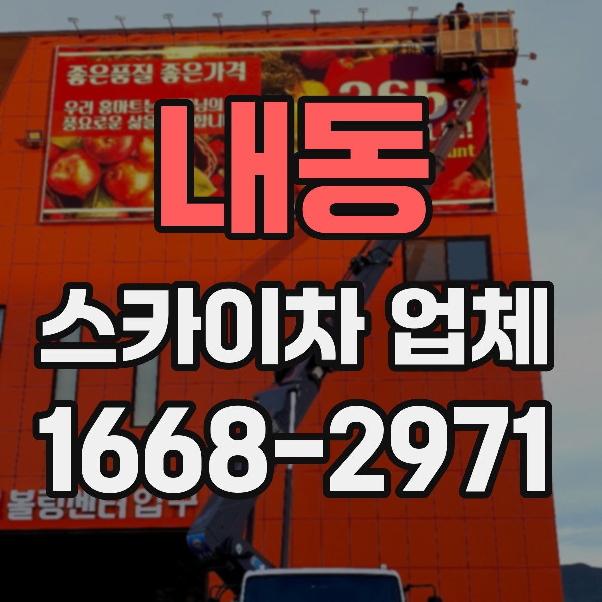 내동 스카이차 업체