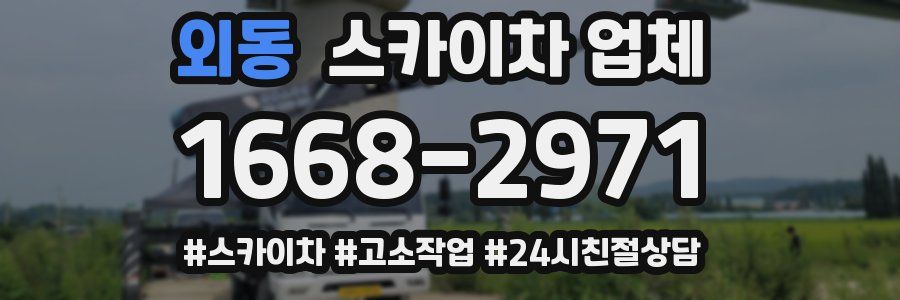 외동 스카이차 업체