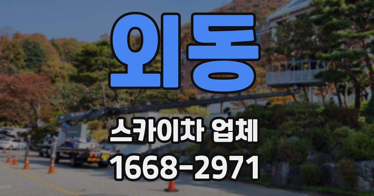 외동 스카이차 업체