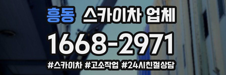 흥동 스카이차 업체