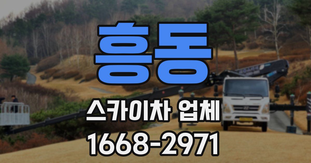 흥동 스카이차 업체