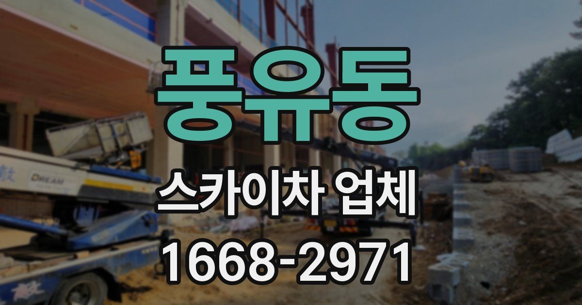 풍유동 스카이차 업체