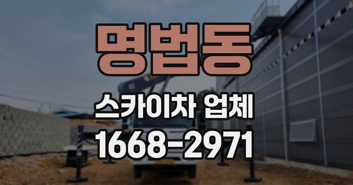 명법동 스카이차 업체