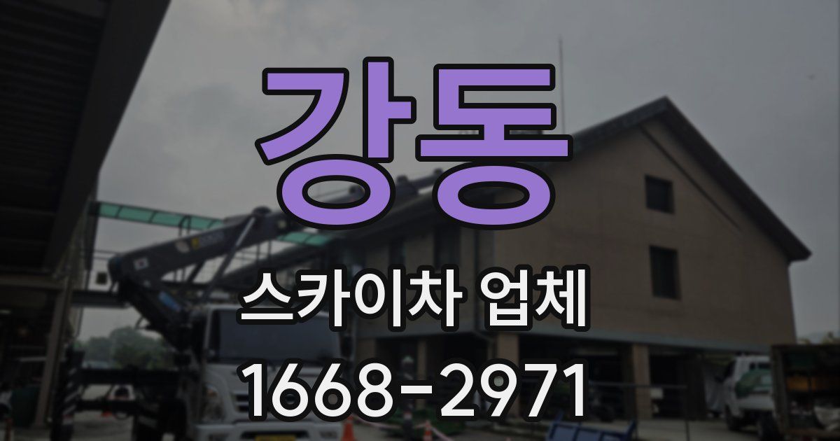 강동 스카이차 업체