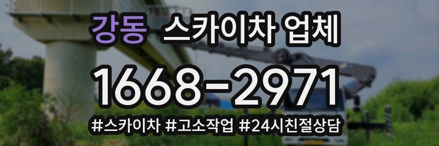 강동 스카이차 업체